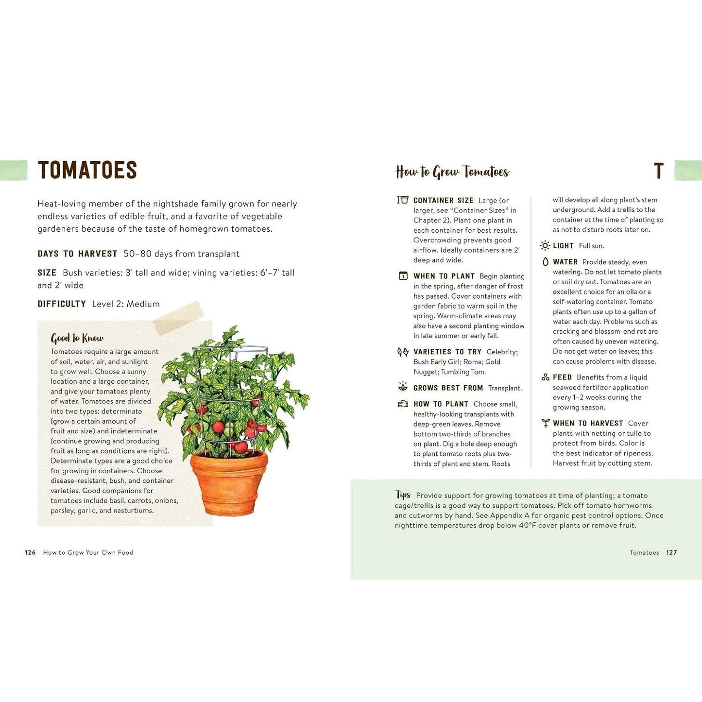 How to Grow Your Own Food: An Illustrated Beginner's Guide to Container Gardening