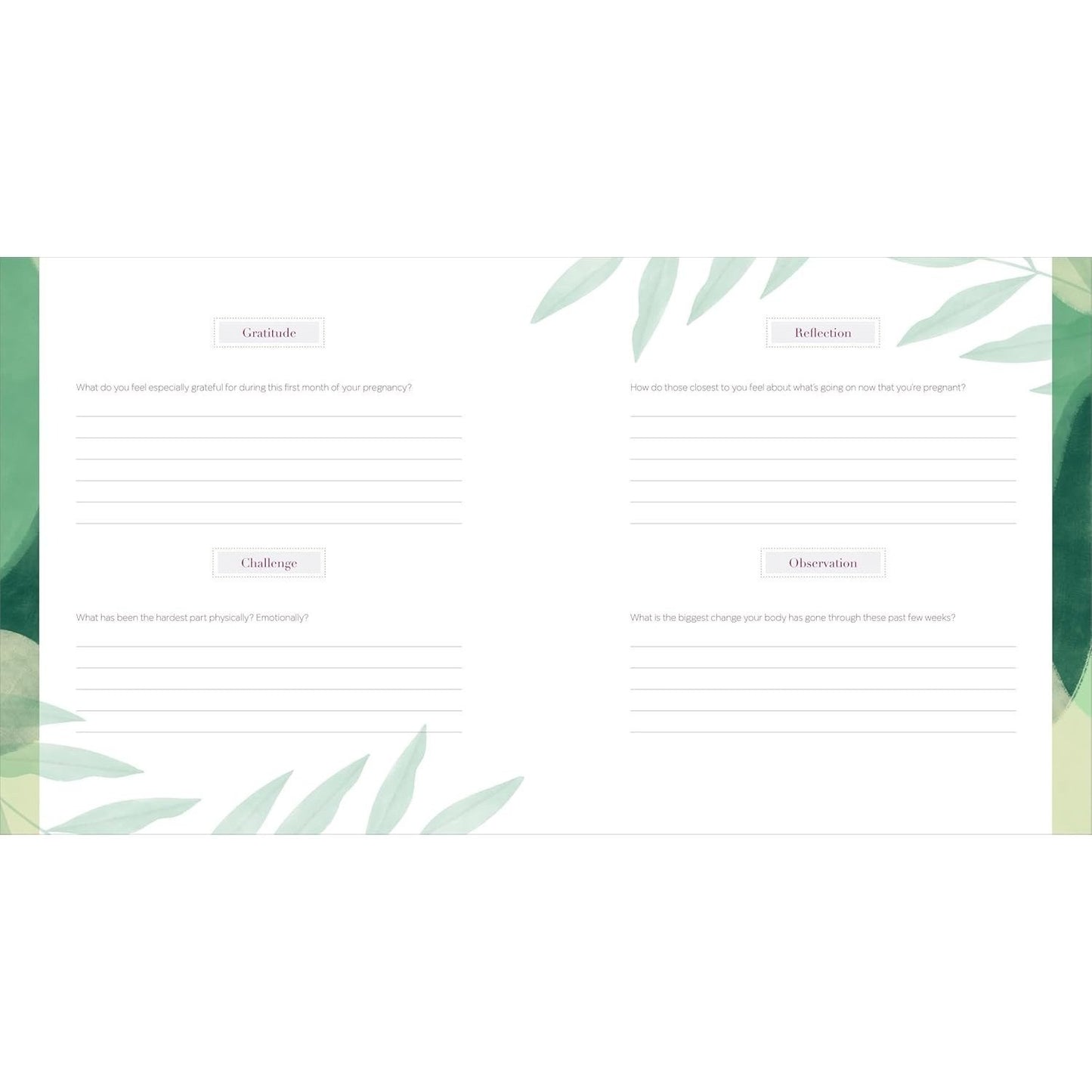 The First-Time Mom's Pregnancy Journal: Monthly Checklists, Activities, & Journal Prompts (Spiral Bound)