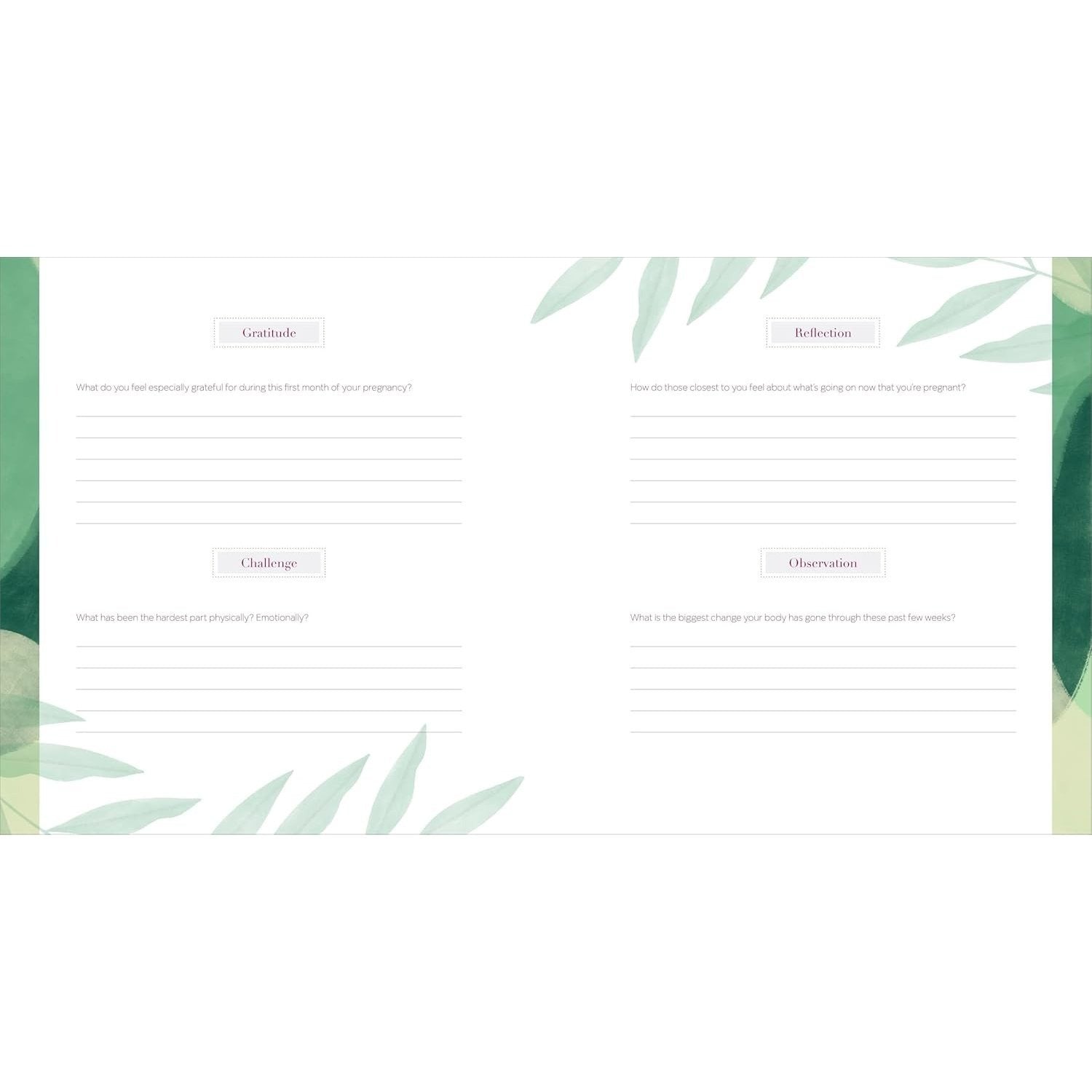 The First-Time Mom's Pregnancy Journal: Monthly Checklists, Activities, & Journal Prompts (Spiral Bound)