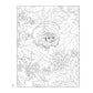 Creative Haven Forest & Woodland Wildlife Coloring Book