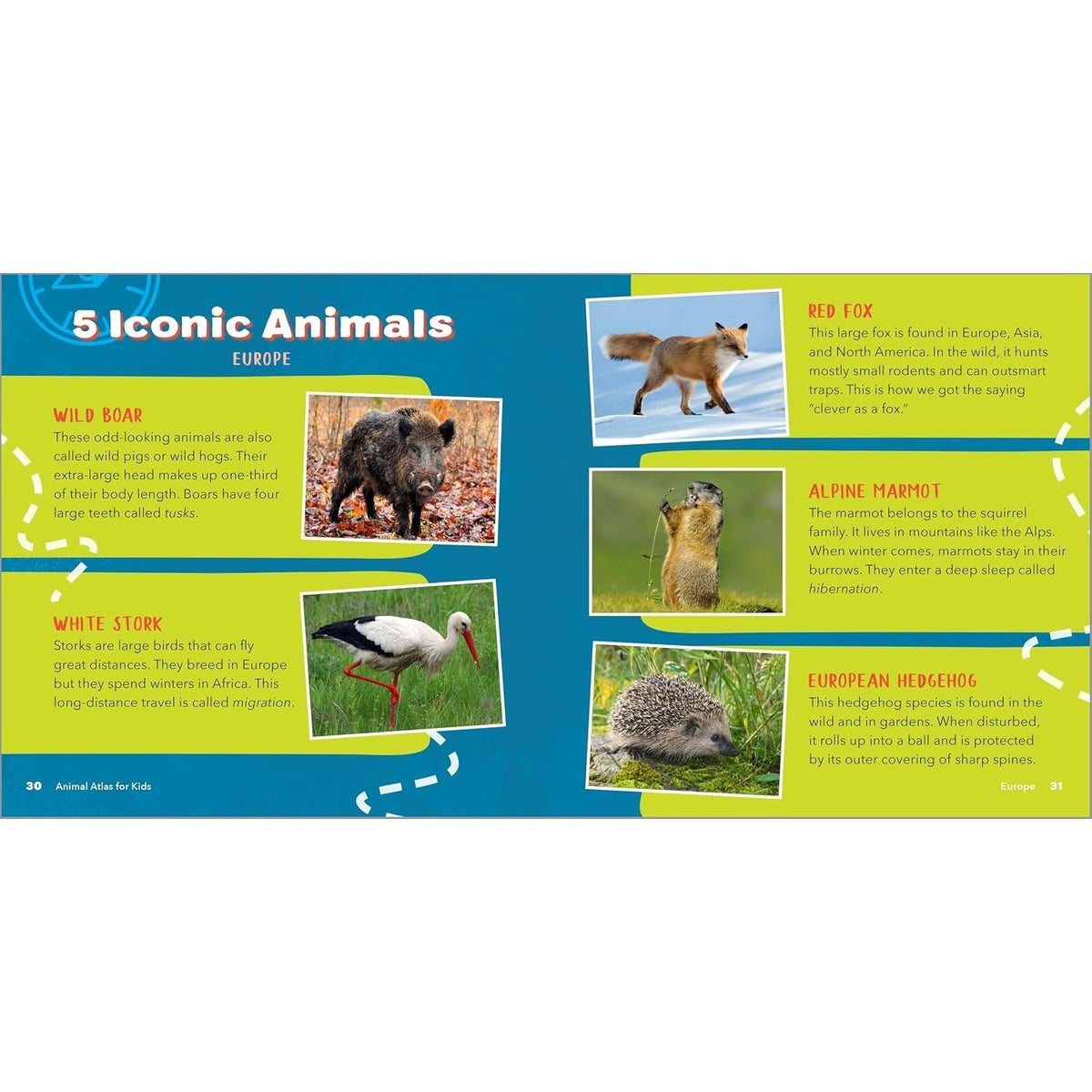 Animal Atlas for Kids: A Visual Journey of Wildlife from Around the World