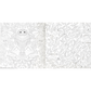Secret Garden: 10th Anniversary Special Edition (Spiral Bound)