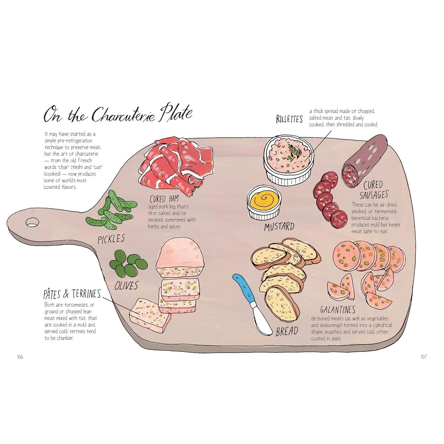 Food Anatomy: The Curious Parts & Pieces of Our Edible World