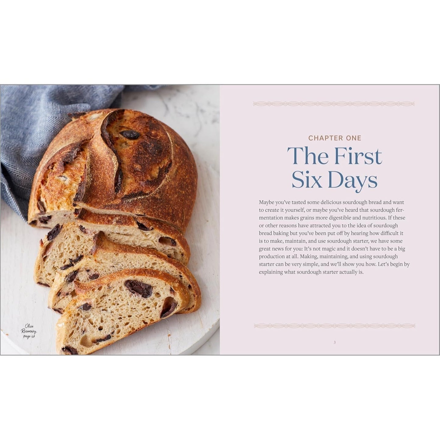 Sourdough Cookbook for Beginners: A Step-By-Step Introduction to Make Your Own Fermented Breads (Spiral Bound)