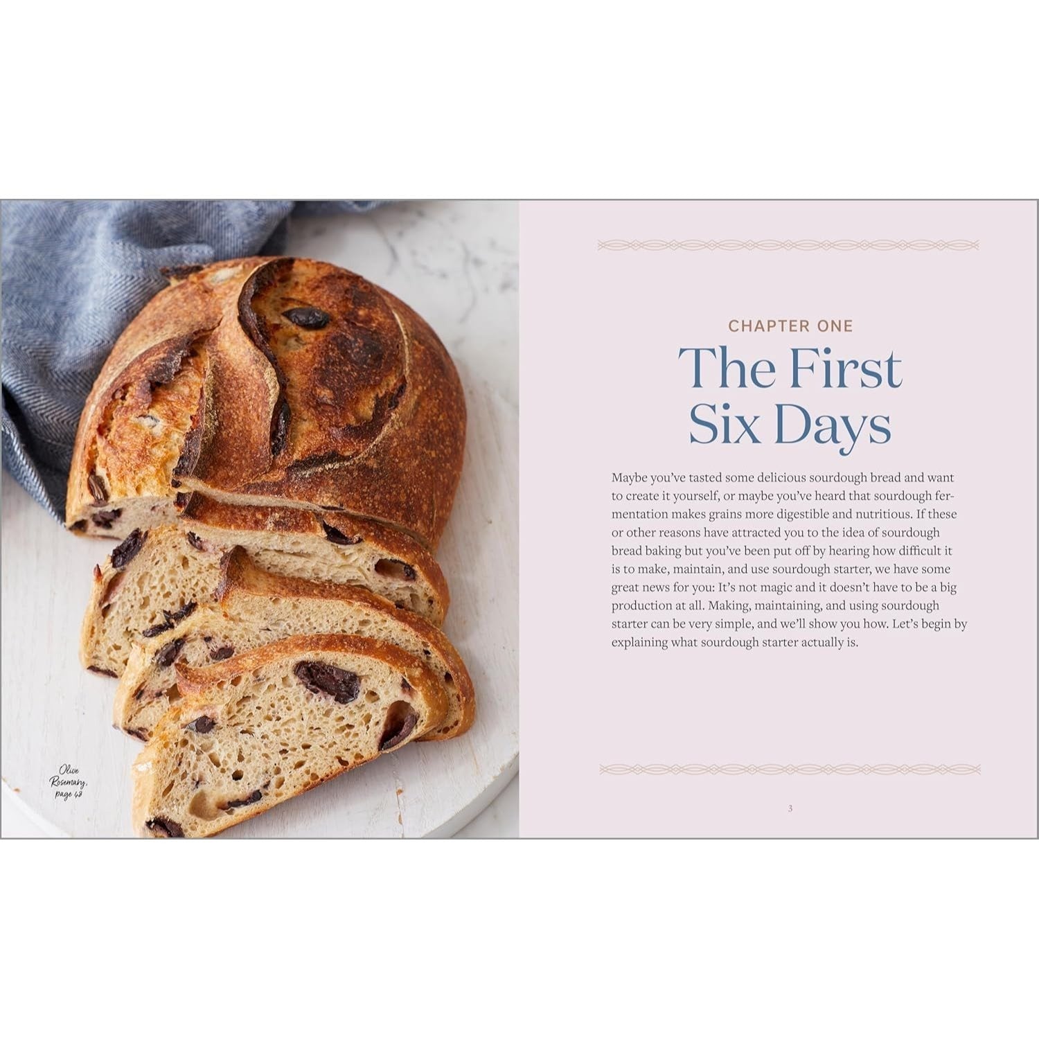 Sourdough Cookbook for Beginners: A Step-By-Step Introduction to Make Your Own Fermented Breads (Spiral Bound)