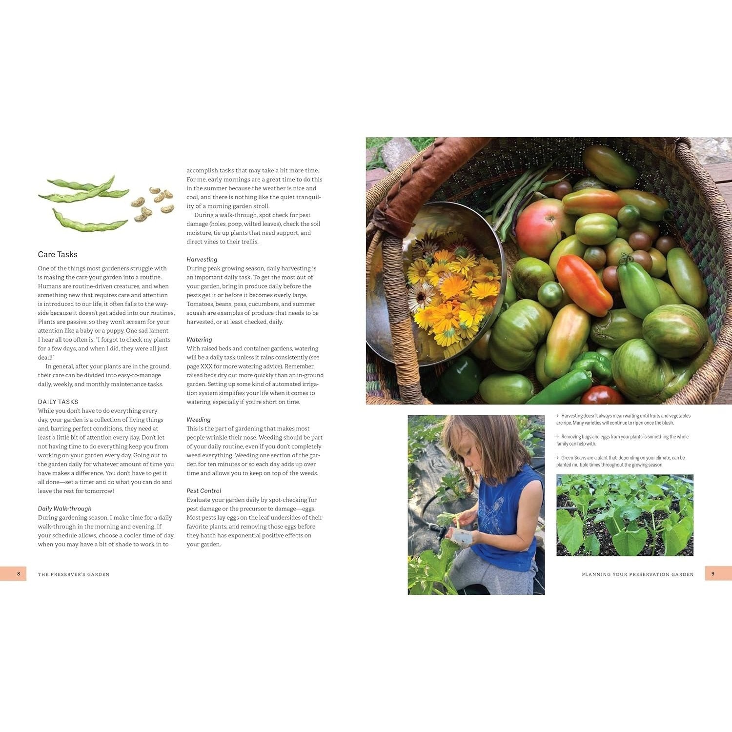 The Preserver's Garden: How to Grow a Garden for Fermenting, Canning, Pickling, Dehydrating, Freeze Drying, and More