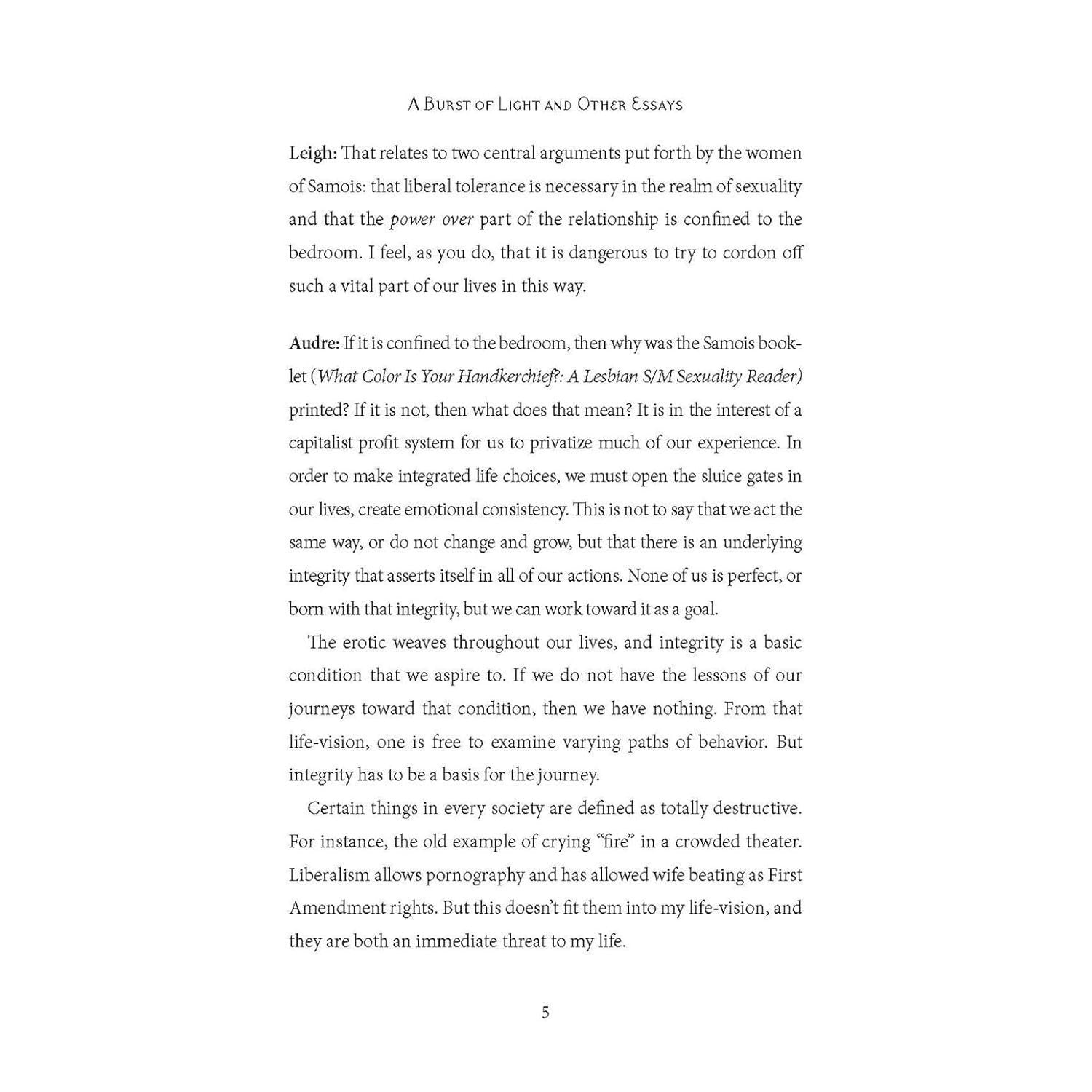 A Burst of Light and Other Essays