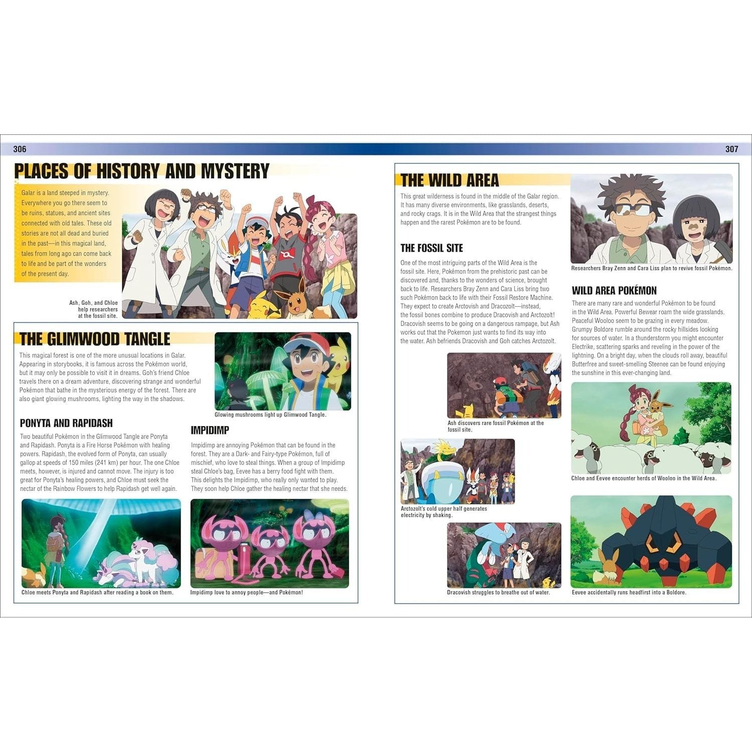 Pokémon Visual Companion Fifth Edition