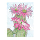 Creative Haven Desert Blooms Coloring Book