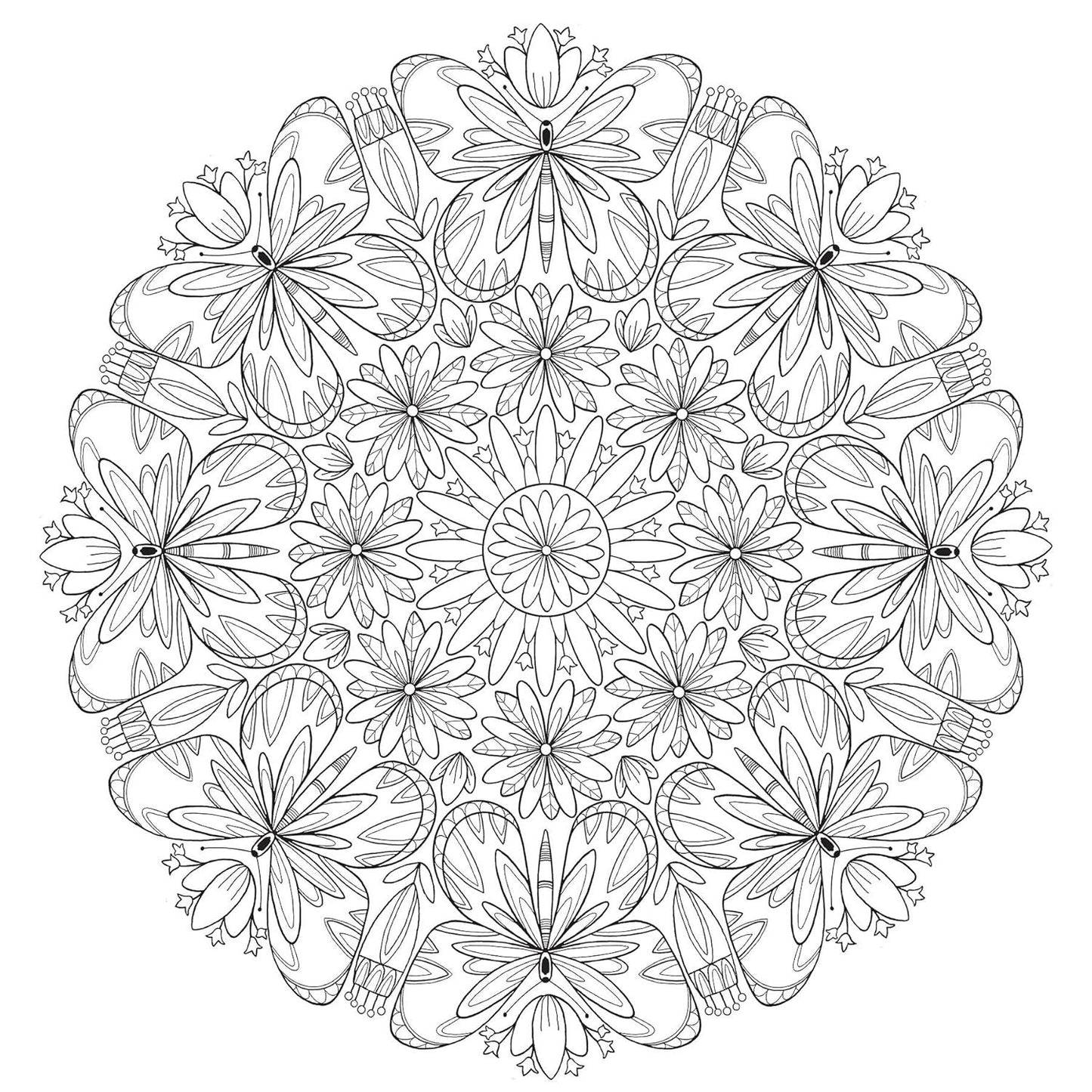 Creative Haven Butterfly Mandalas Coloring Book