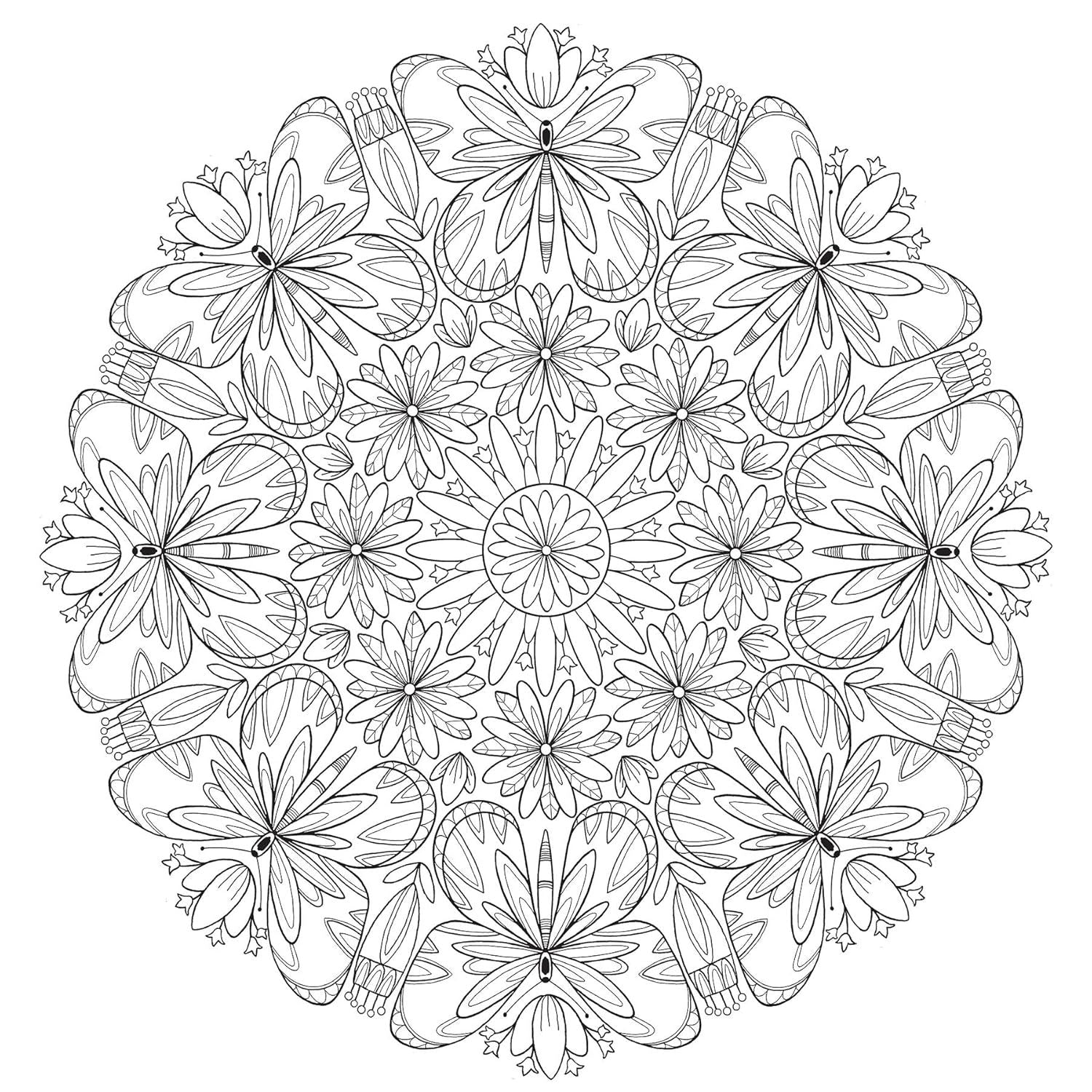 Creative Haven Butterfly Mandalas Coloring Book