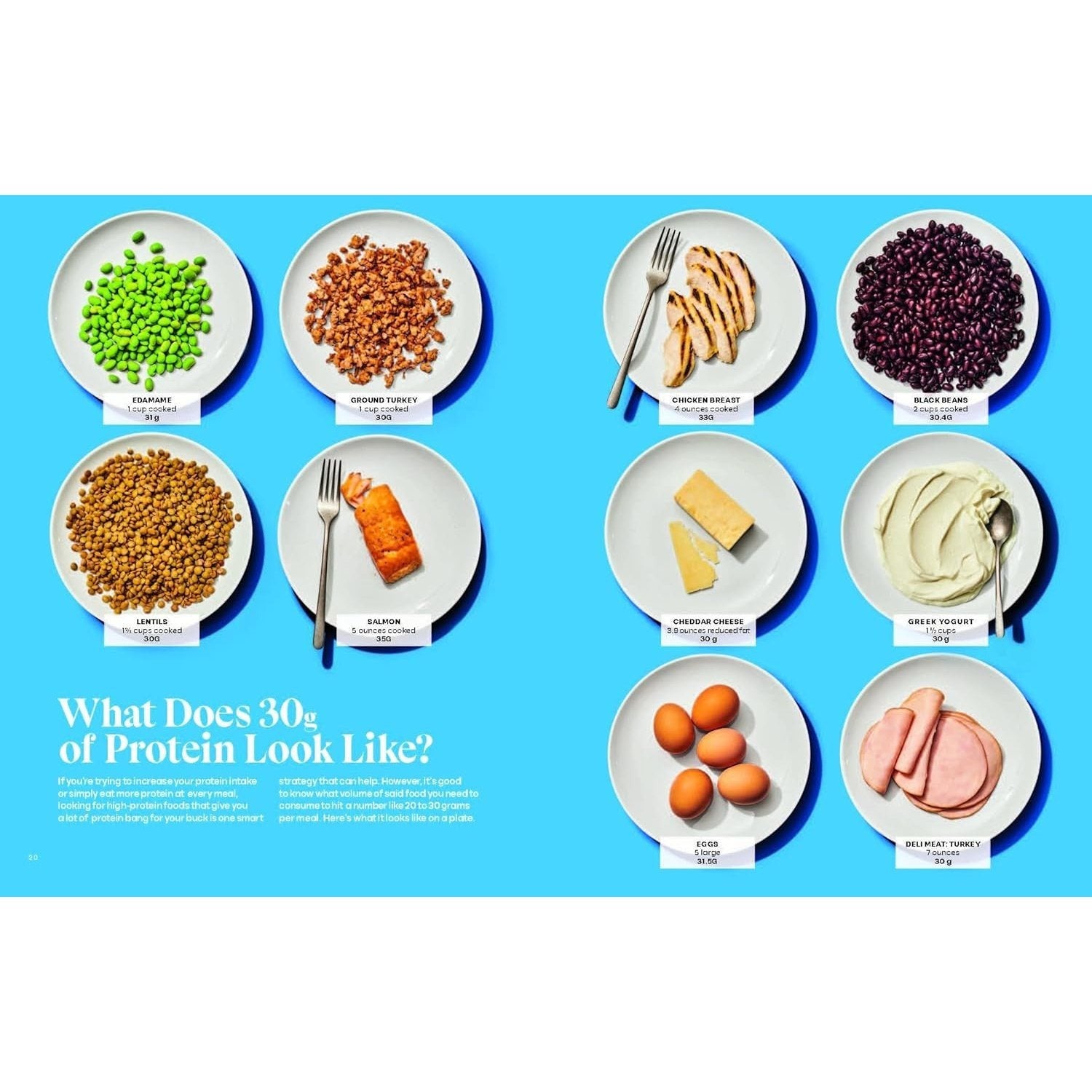 The Protein Playbook: Build Strength, Boost Metabolism, and Feel Energized