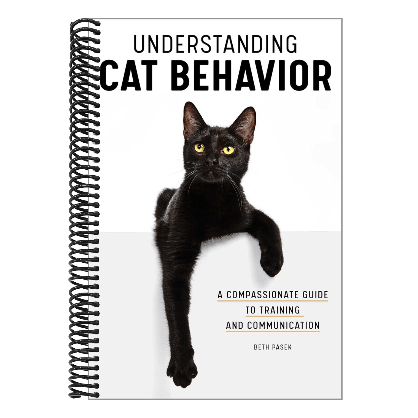 Understanding Cat Behavior: A Compassionate Guide to Training and Communication