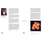 The Noma Guide to Fermentation: Including Koji, Kombuchas, Shoyus, Misos, Vinegars, Garums, Lacto-Ferments, and Black Fruits and Vegetables