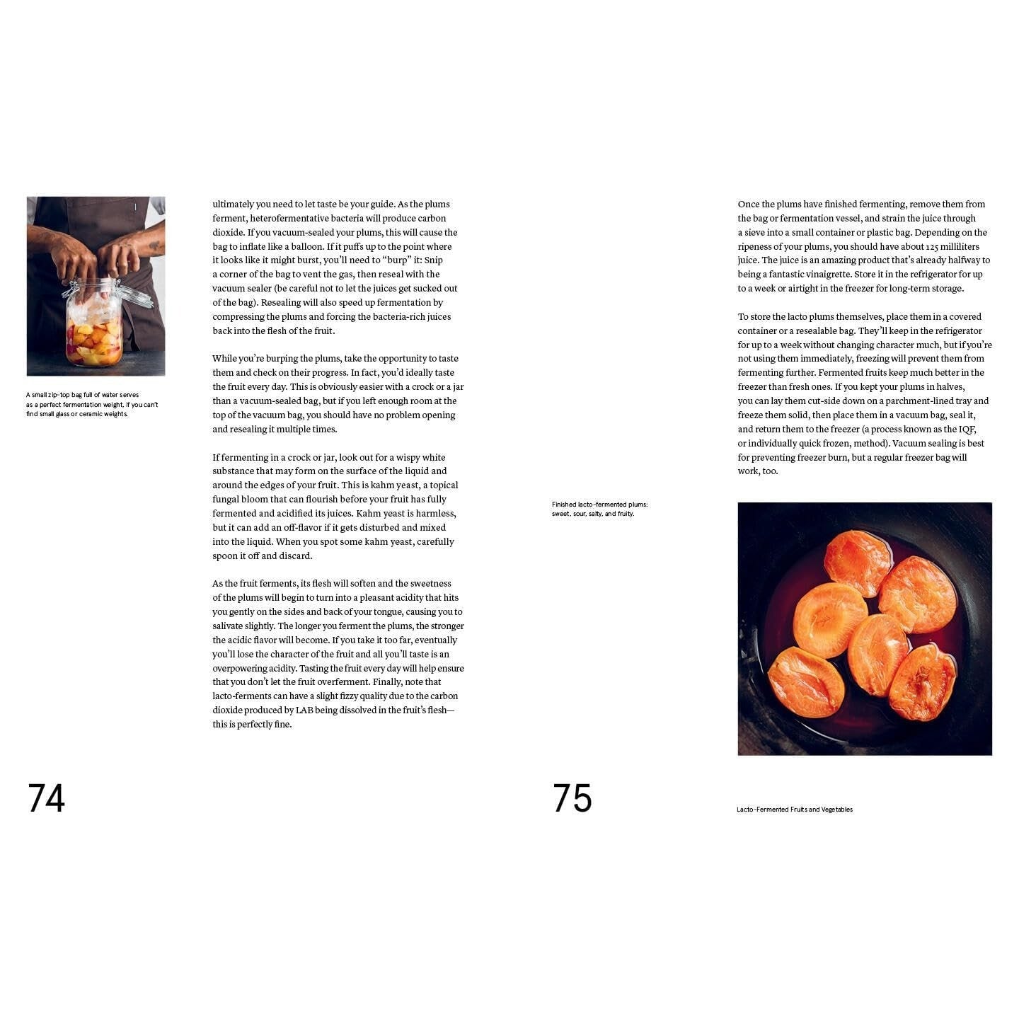 The Noma Guide to Fermentation: Including Koji, Kombuchas, Shoyus, Misos, Vinegars, Garums, Lacto-Ferments, and Black Fruits and Vegetables
