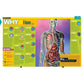 National Geographic Kids Why?: Over 1,111 Answers to Everything (Spiral Bound)