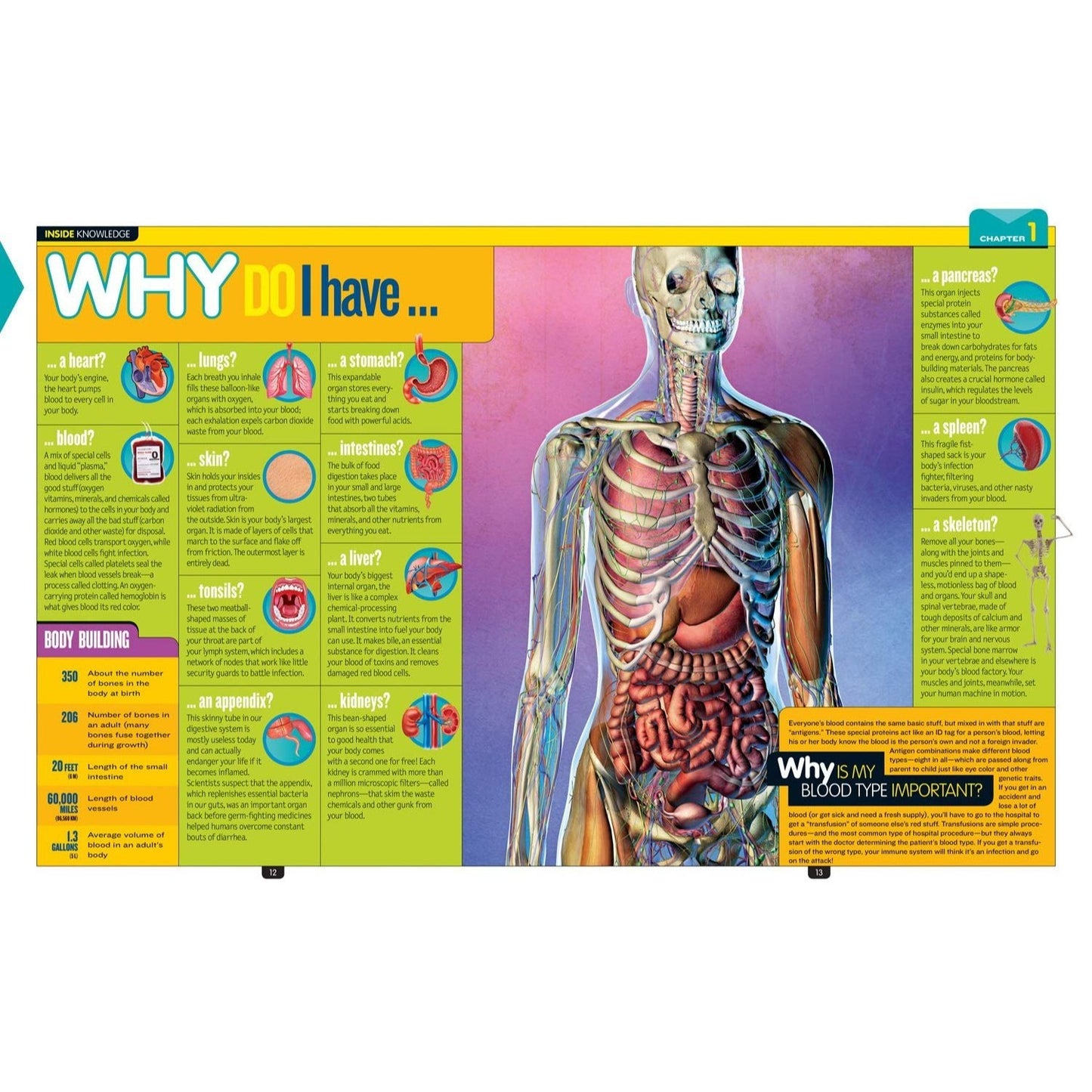 National Geographic Kids Why?: Over 1,111 Answers to Everything (Spiral Bound)