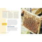 Beekeeping for Beginners: How to Raise Your First Bee Colonies (Spiral Bound)