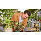For the Love of Houseplants: Caring for & Keeping Plants with Confidence