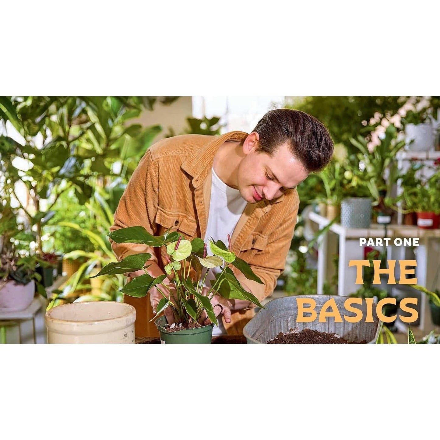 For the Love of Houseplants: Caring for & Keeping Plants with Confidence