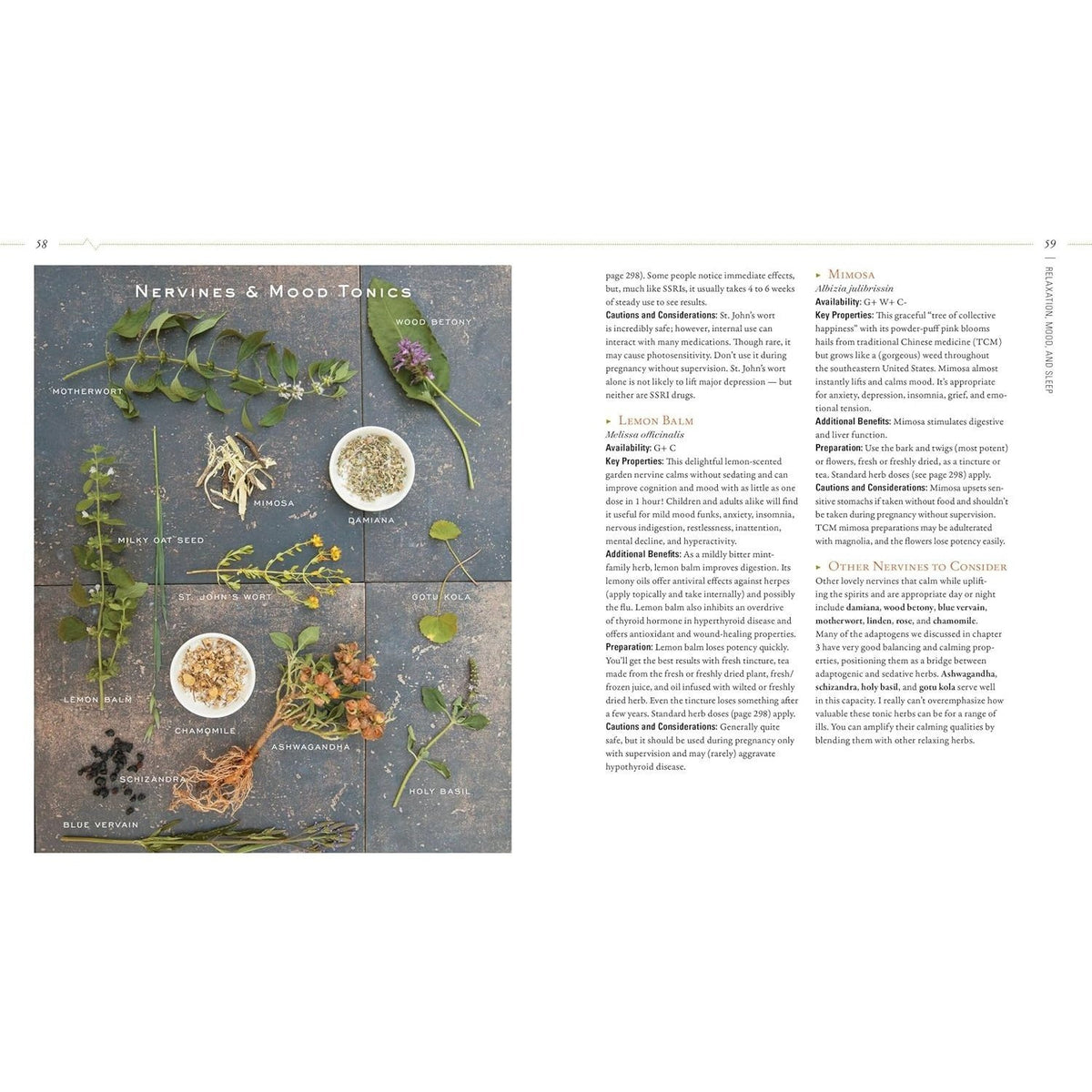 Body Into Balance: An Herbal Guide to Holistic Self-Care (Spiral Bound)
