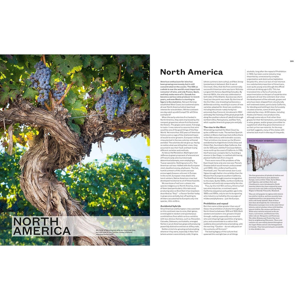 The World Atlas of Wine 8th Edition