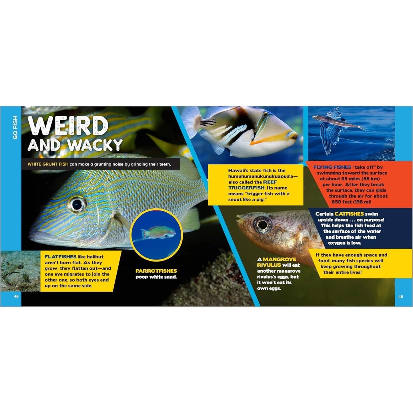 The Fascinating Ocean Book for Kids: 500 Incredible Facts!