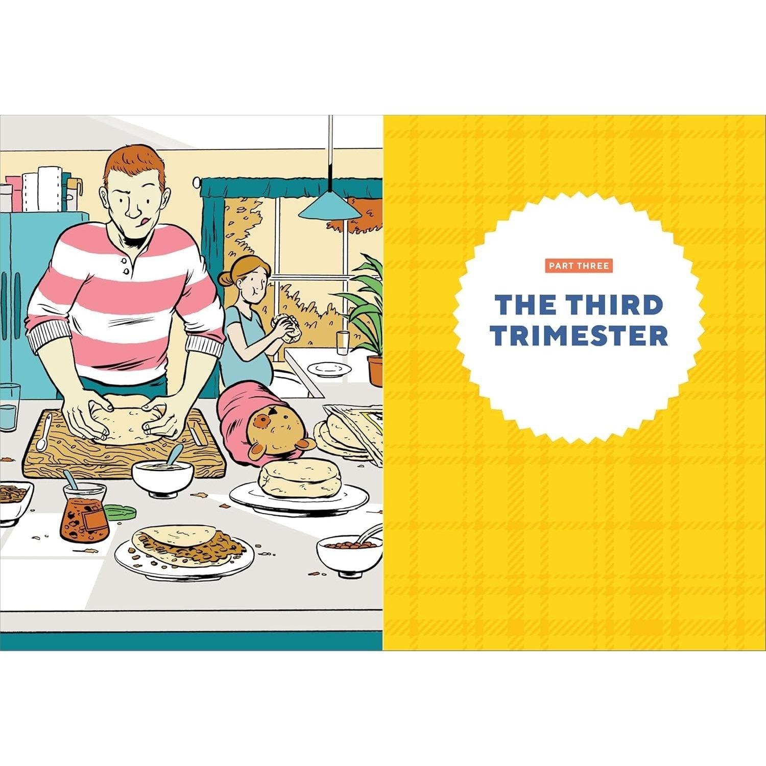 We're Pregnant! the First Time Dad's Pregnancy Handbook (First-Time Dads) (Spiral Bound)