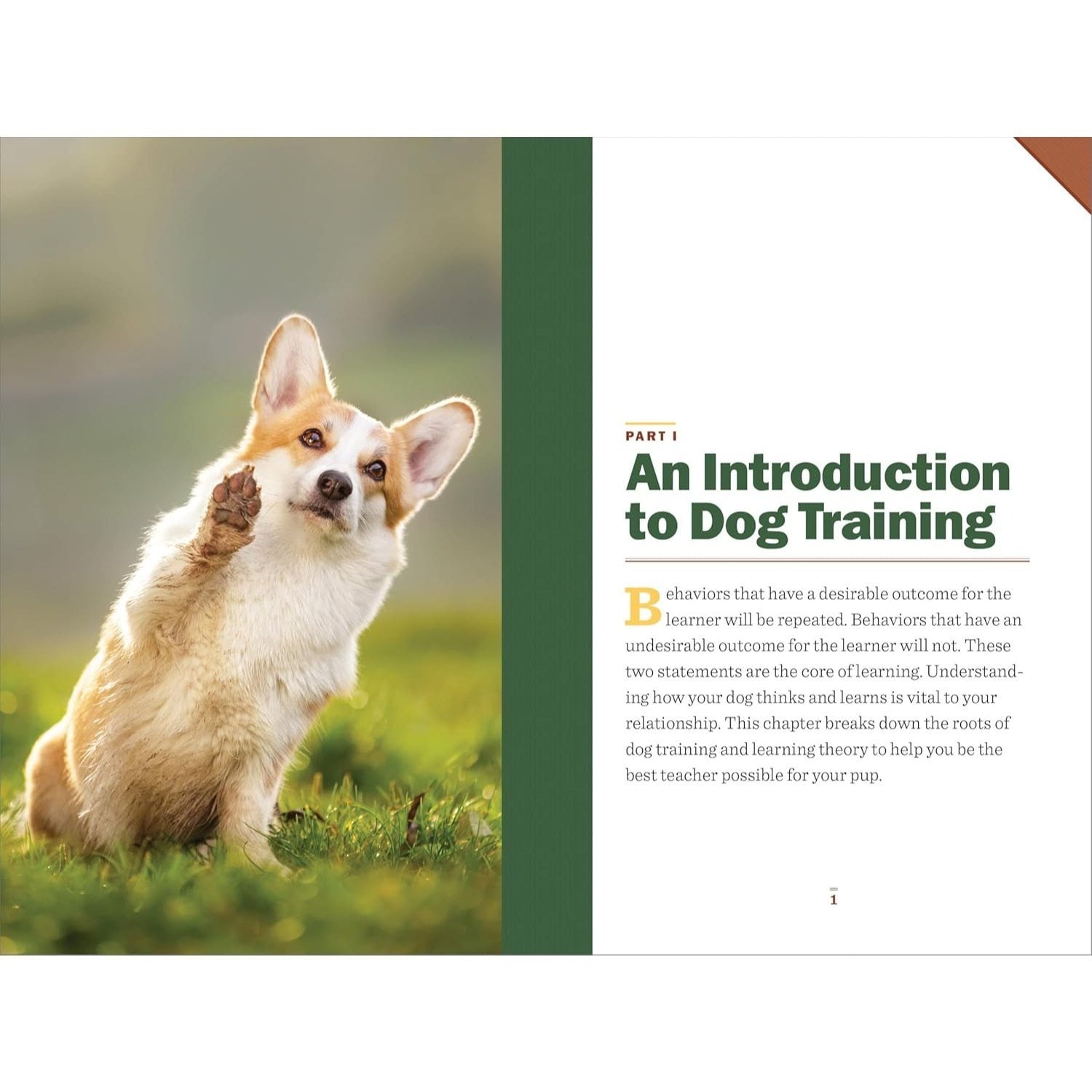 Clicker Training for Dogs: Master Basic Training, Common Cues, and Fun Tricks in 15 Minutes a Day