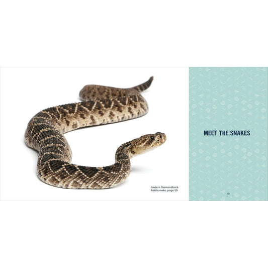 Snakes for Kids: A Junior Scientist's Guide to Venom, Scales, and Life in the Wild