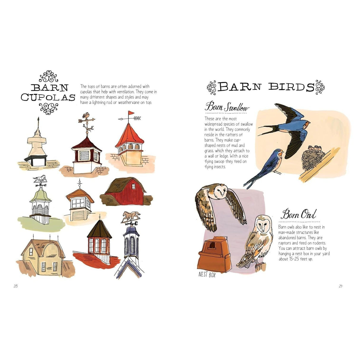 Farm Anatomy: The Curious Parts and Pieces of Country Life