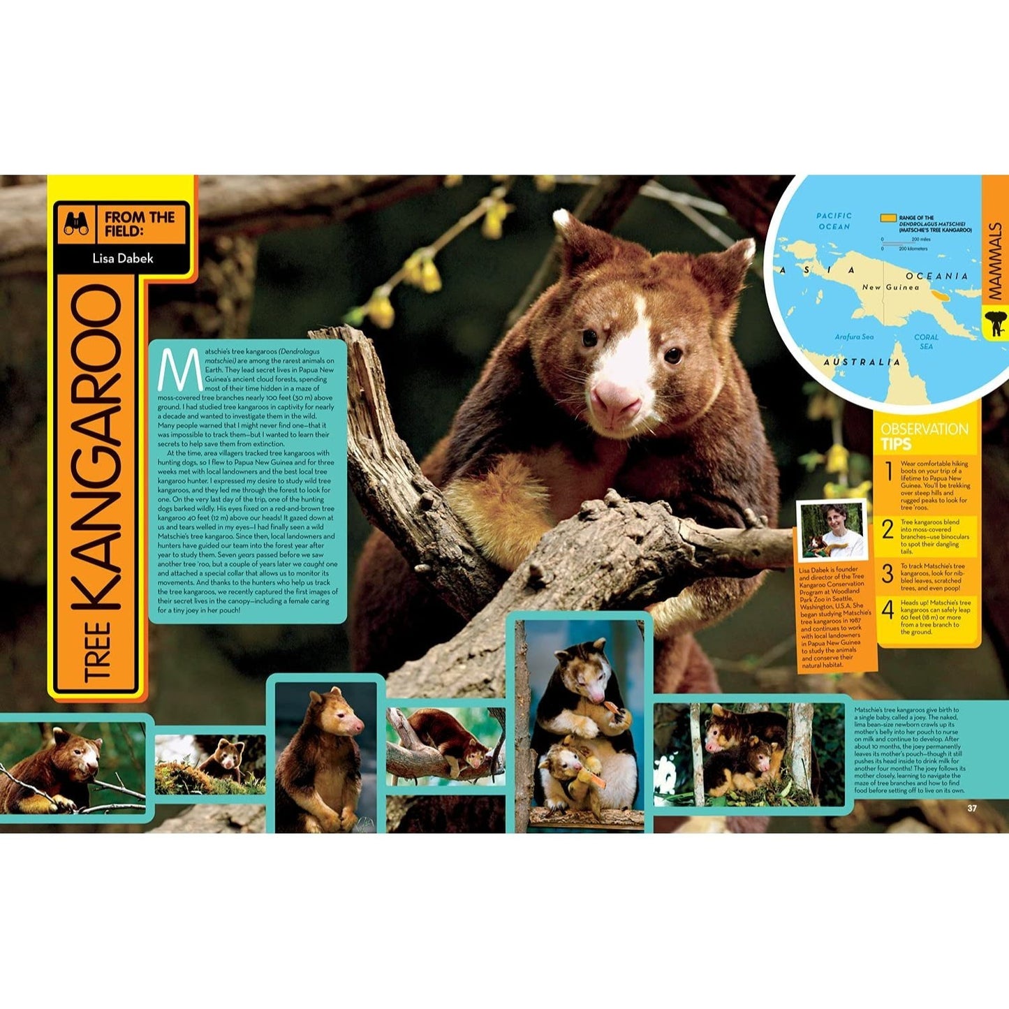 National Geographic Kids Animal Encyclopedia, 2nd Edition: 2,500 Animals with Photos, Maps, and More! (Spiral Bound)