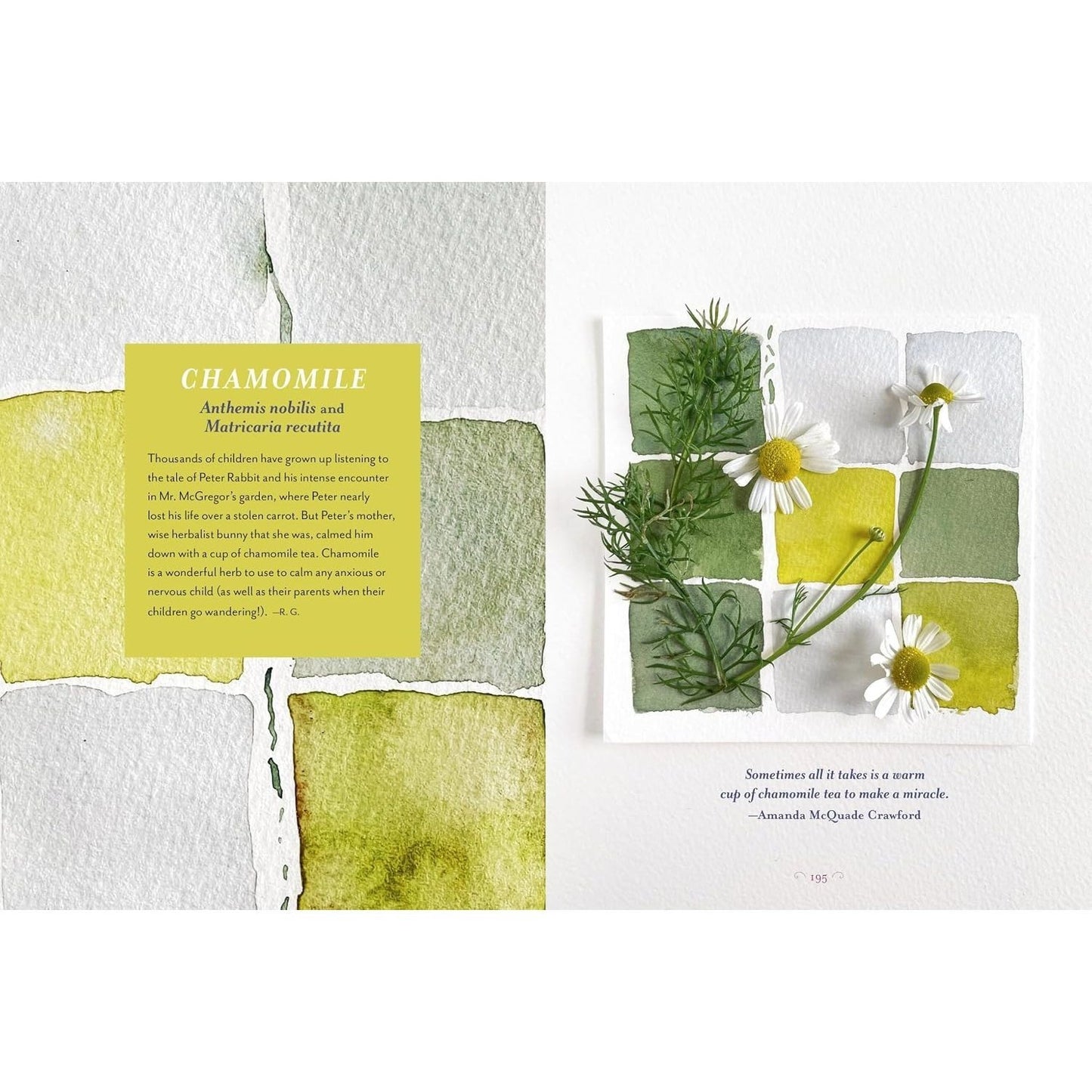 The Generosity of Plants: Shared Wisdom from the Community of Herb Lovers