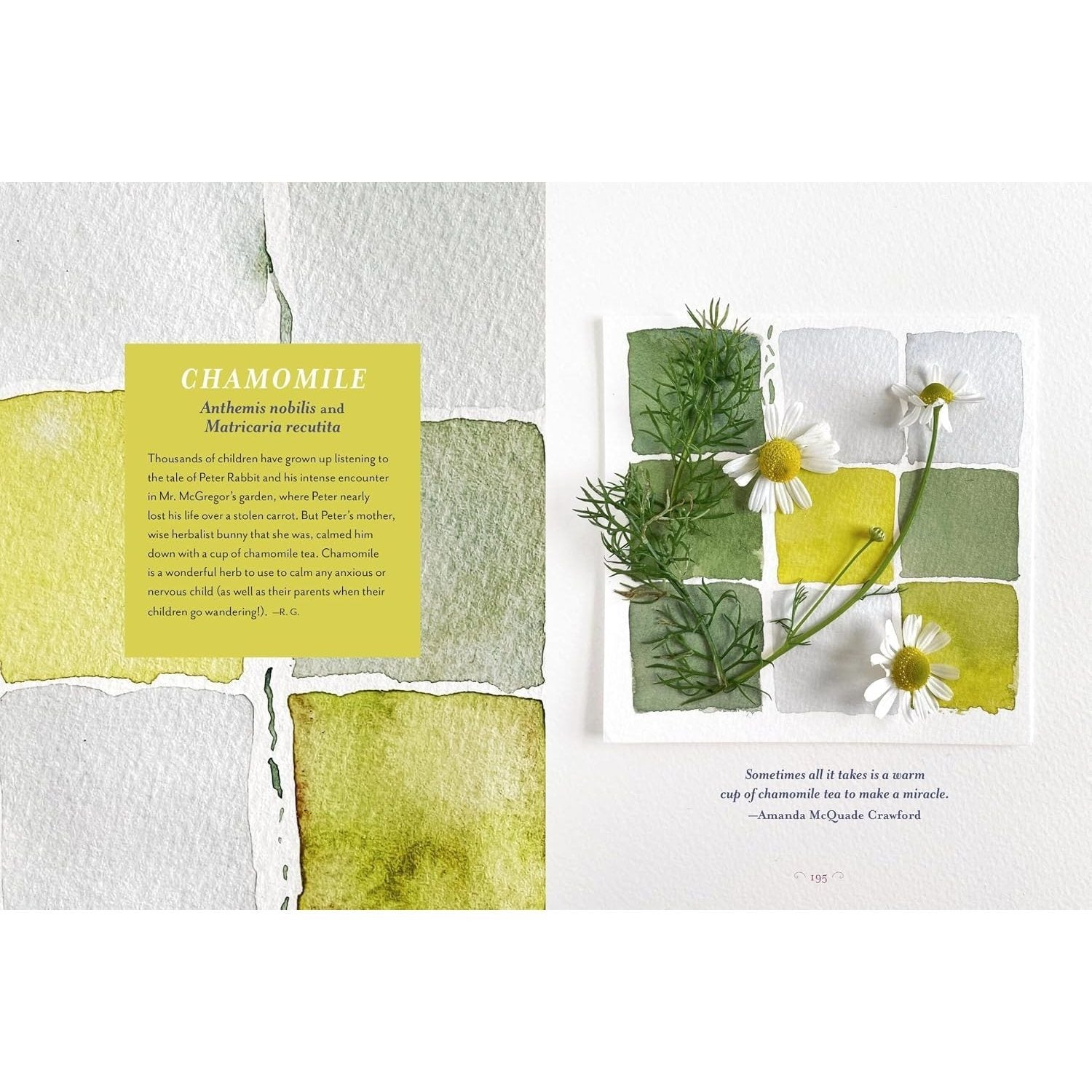 The Generosity of Plants: Shared Wisdom from the Community of Herb Lovers