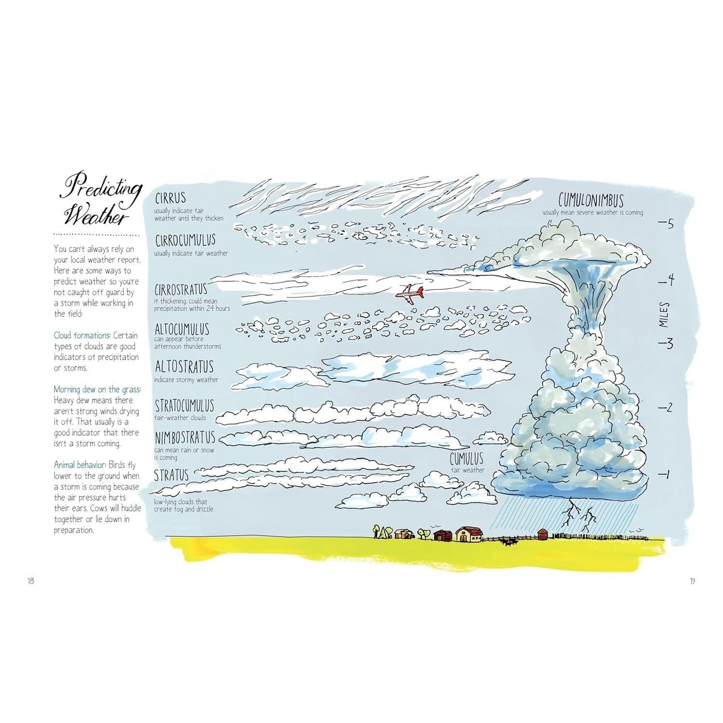 Farm Anatomy: The Curious Parts and Pieces of Country Life