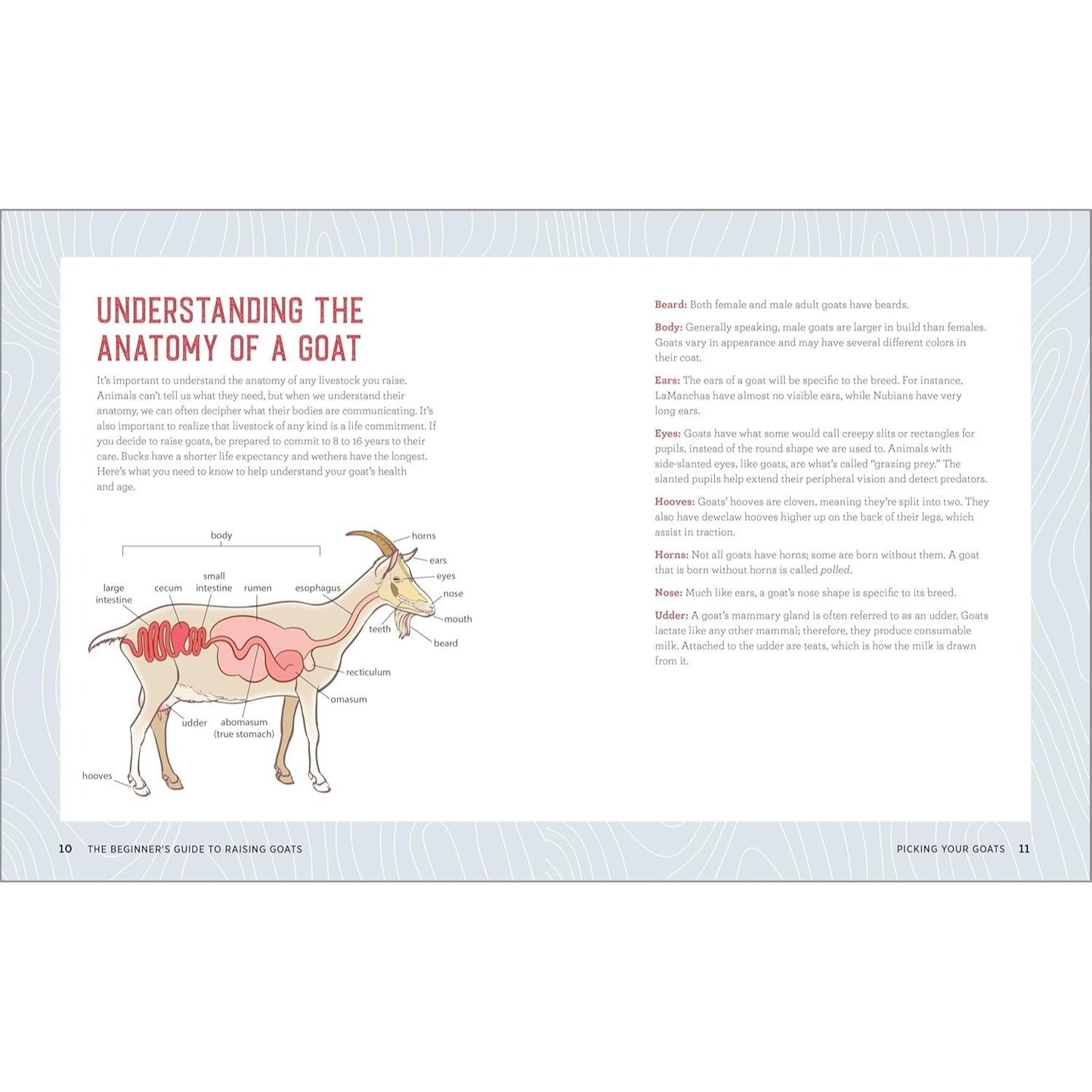 The Beginner's Guide to Raising Goats: How to Keep a Happy Herd