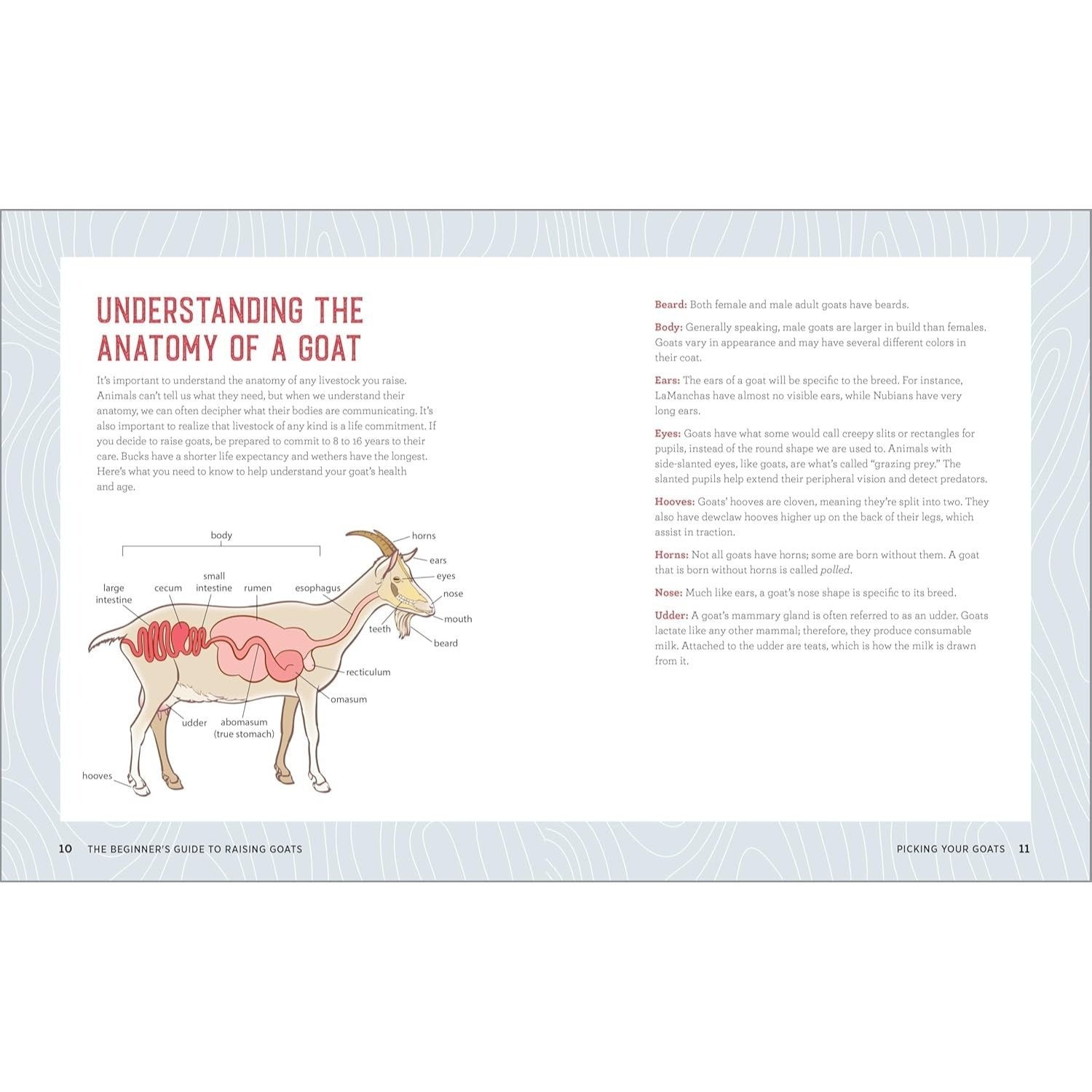 The Beginner's Guide to Raising Goats: How to Keep a Happy Herd