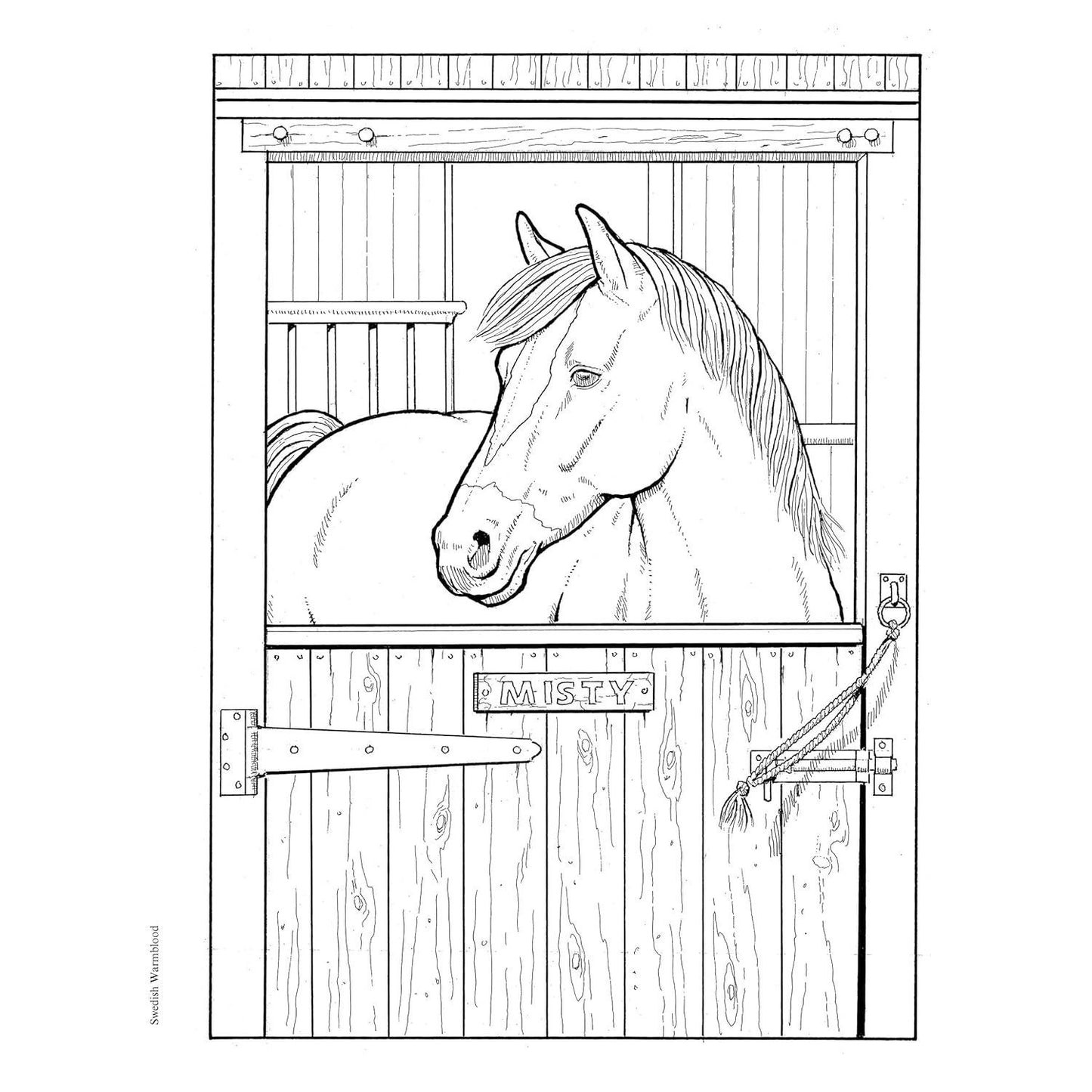 Creative Haven Great Horses Coloring Book