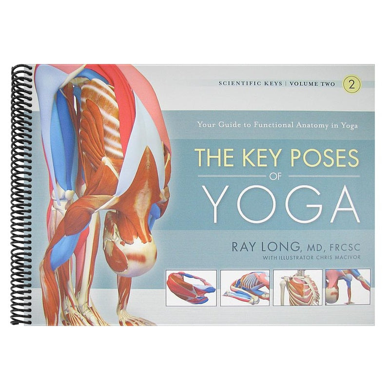 The Key Poses of Yoga