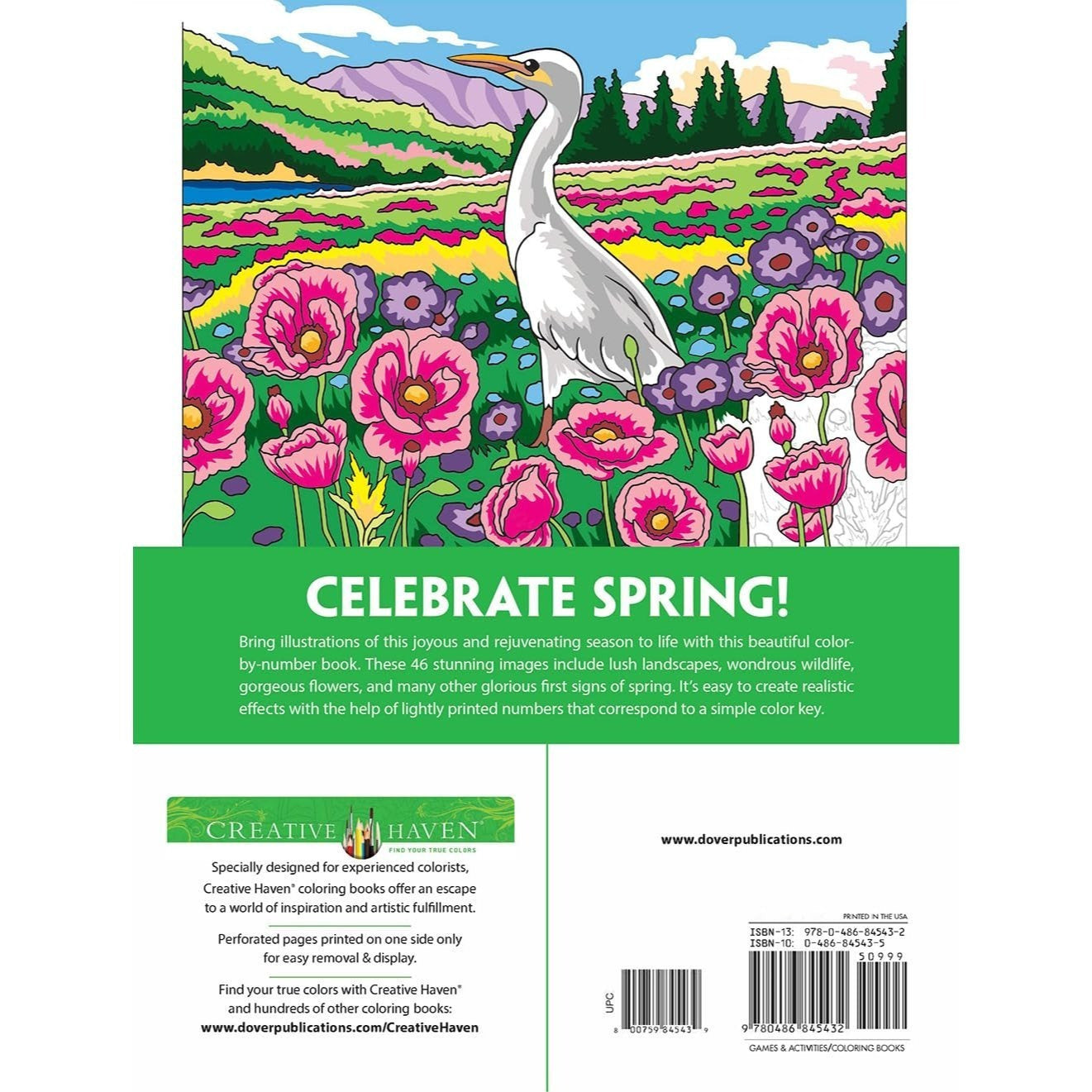 Creative Haven Spectacular Spring Scenes Color by Number