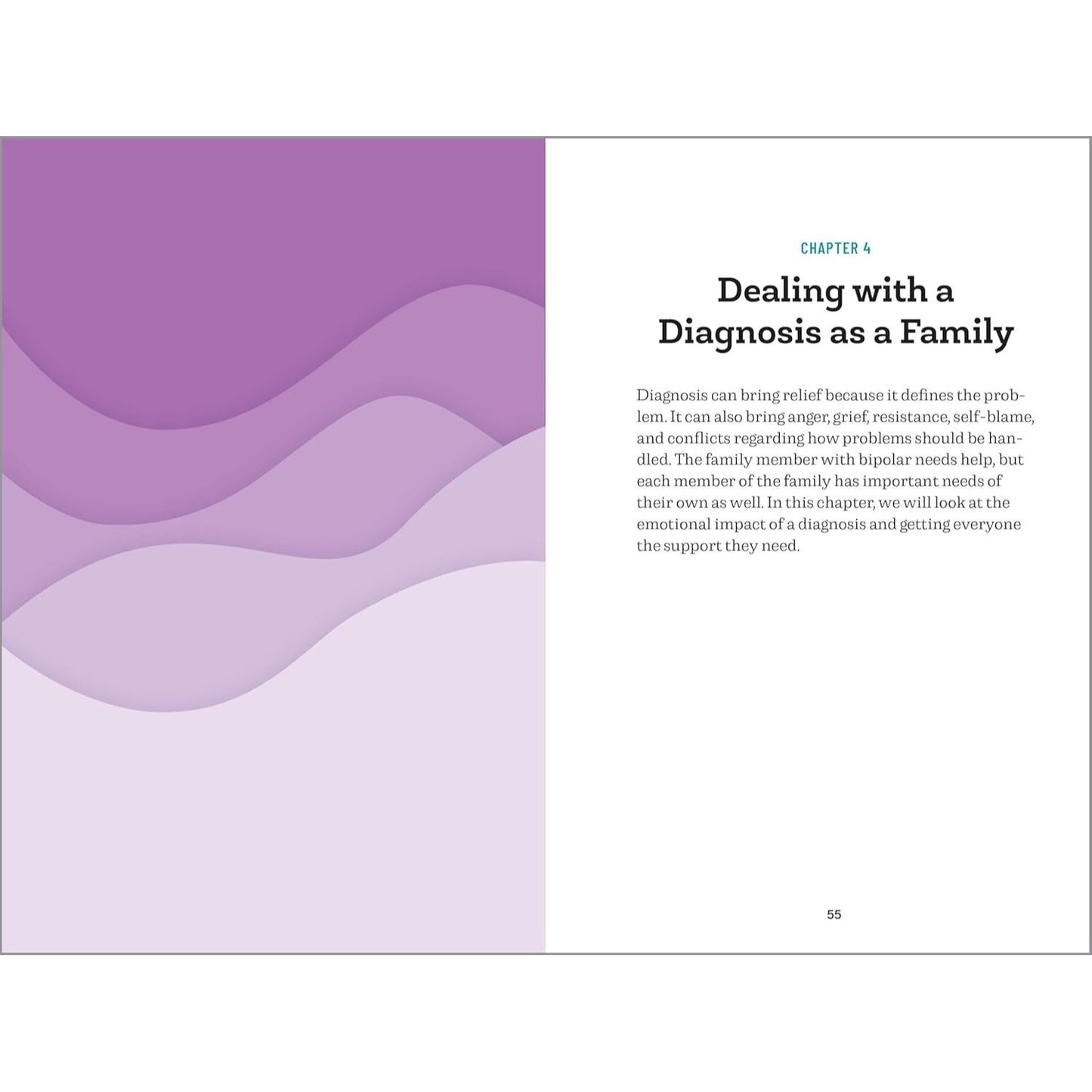 Understanding Bipolar Disorder: The Essential Family Guide