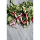 Gjelina Cooks: Cooking from Venice, California