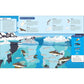 Search the Ocean, Find the Animals