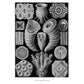 Art Forms in Nature (Revised)