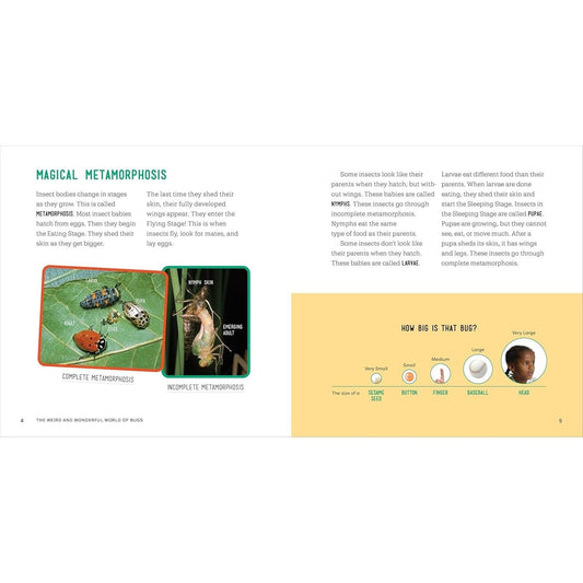 The Weird and Wonderful World of Bugs: A Book about Beetles, Butterflies, and Other Fascinating Insects