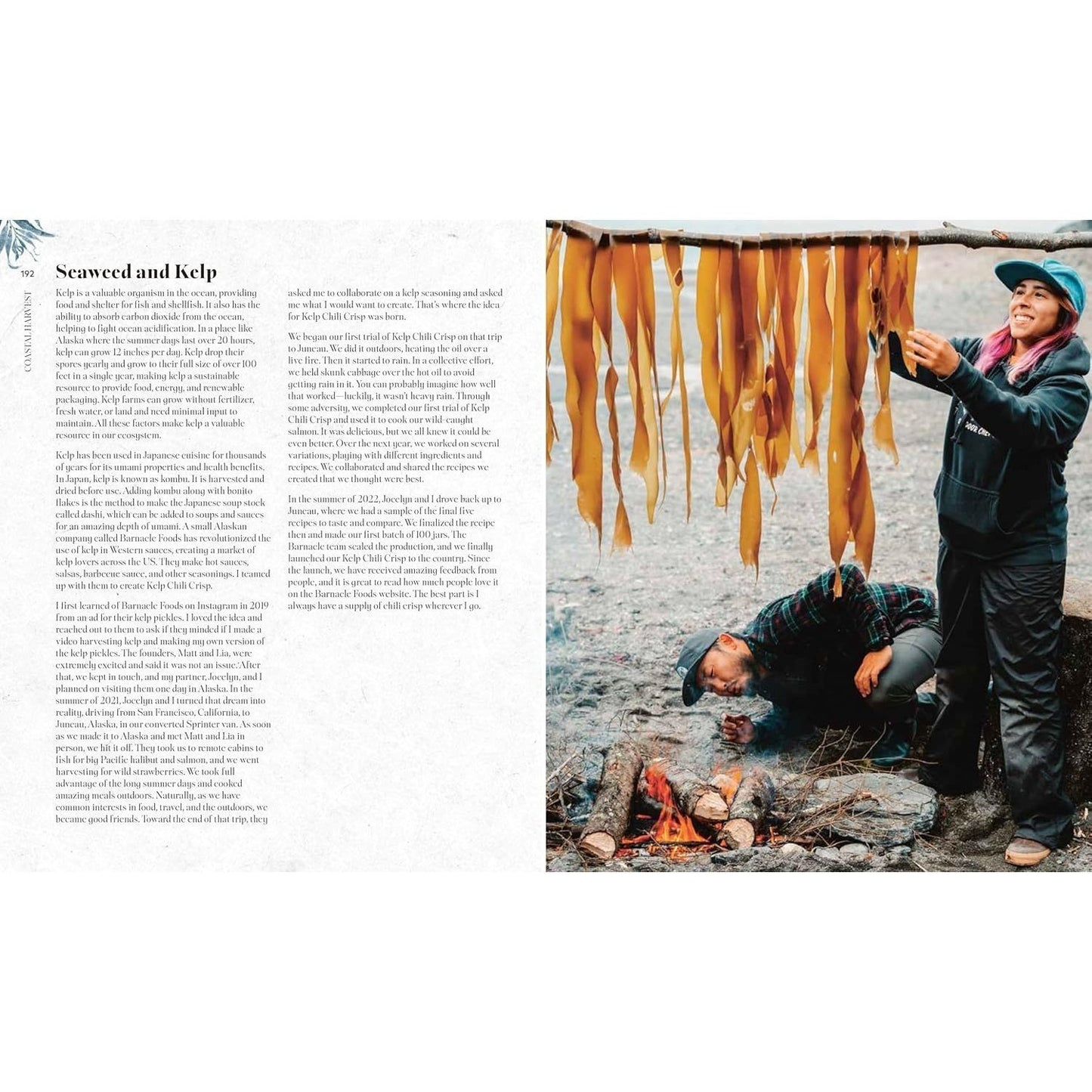 Coastal Harvest: Fish - Forage - Feast: A Cookbook (Spiral Bound)