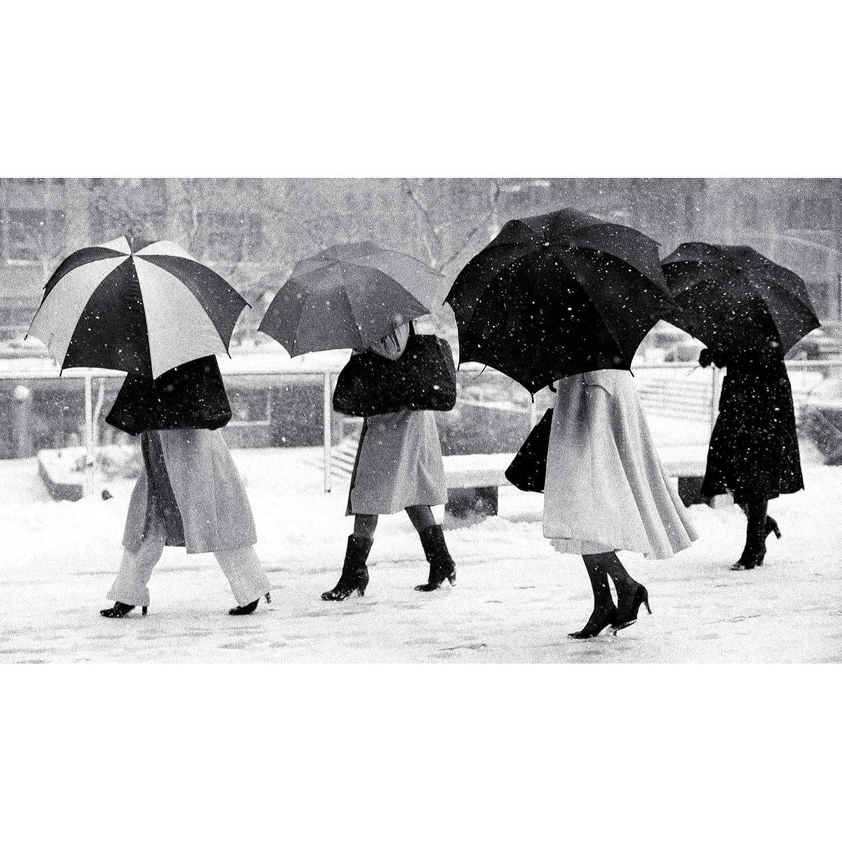 Bill Cunningham: On the Street: Five Decades of Iconic Photography