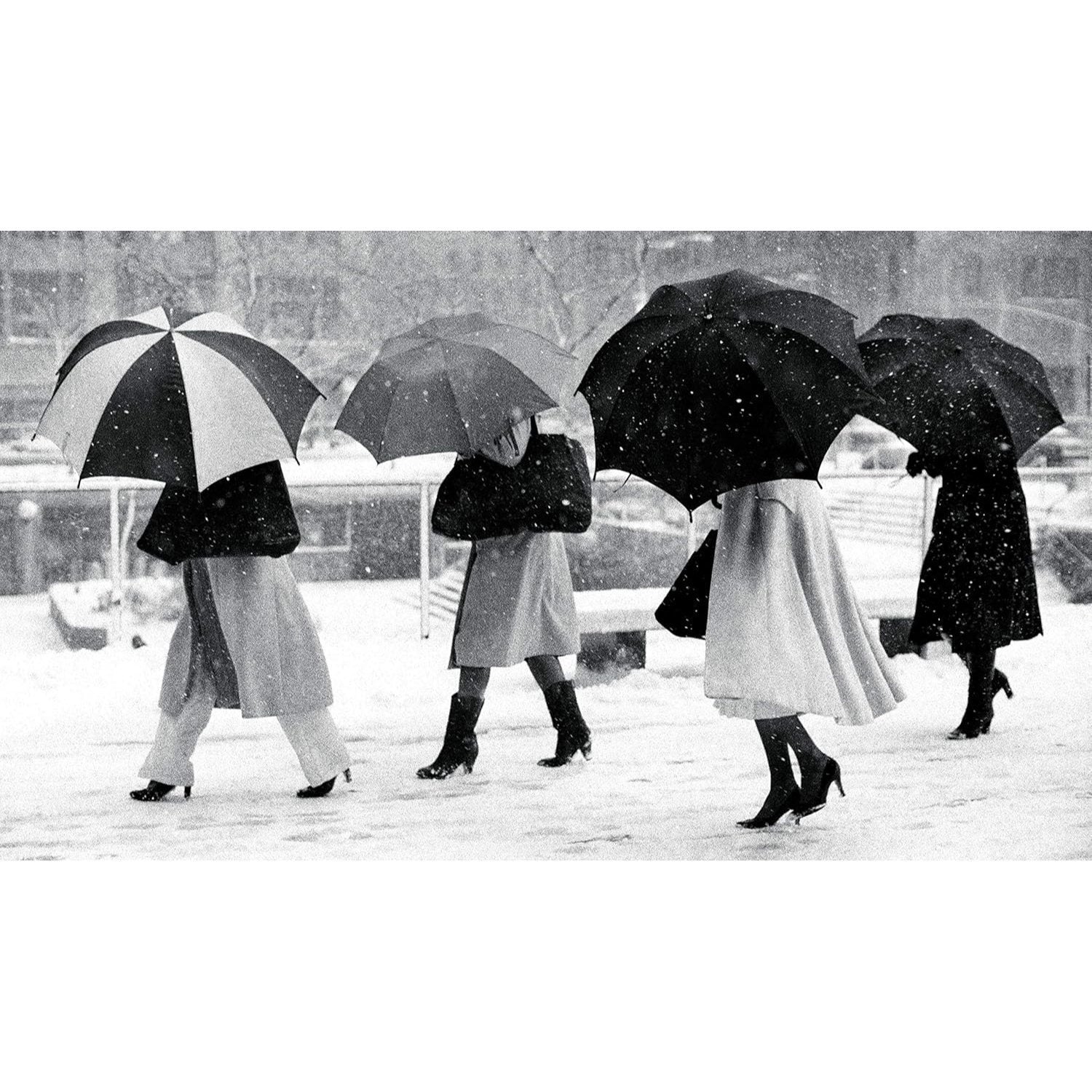 Bill Cunningham: On the Street: Five Decades of Iconic Photography