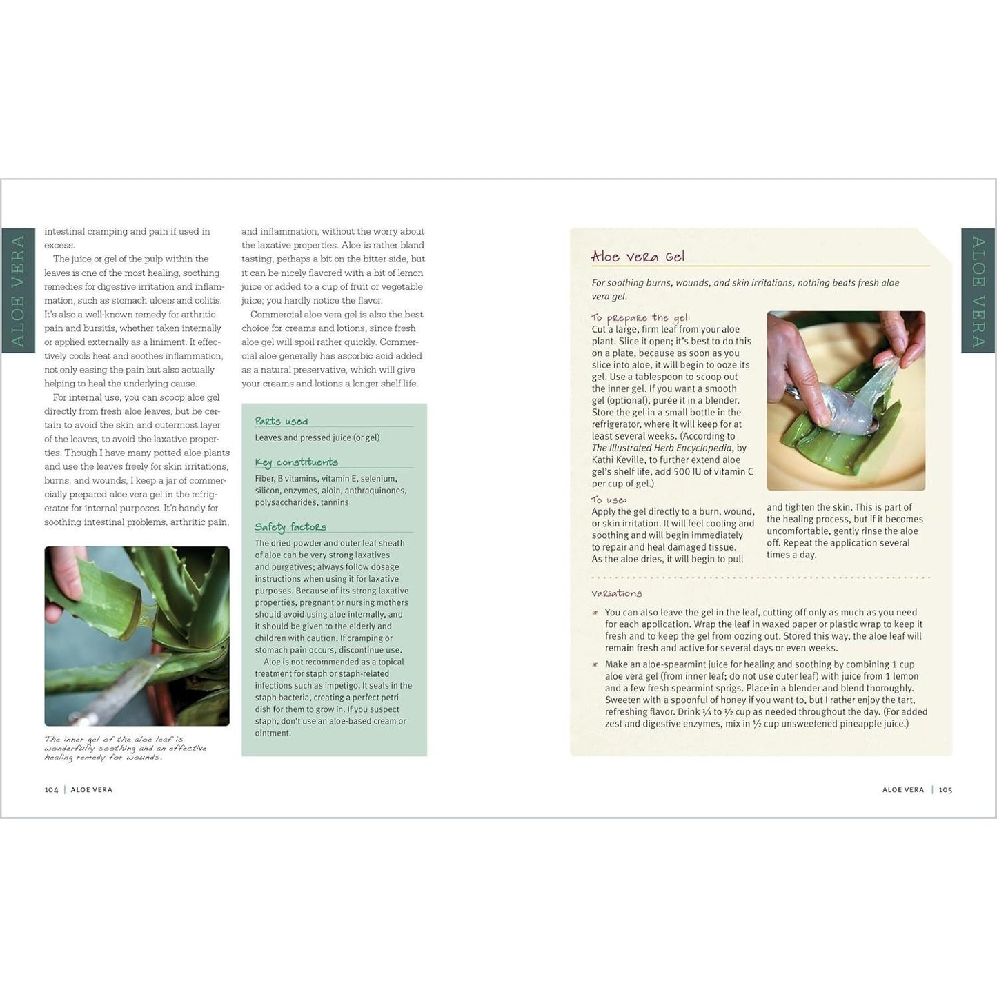 Rosemary Gladstar's Medicinal Herbs: A Beginner's Guide: 33 Healing Herbs to Know, Grow, and Use (Spiral Bound)