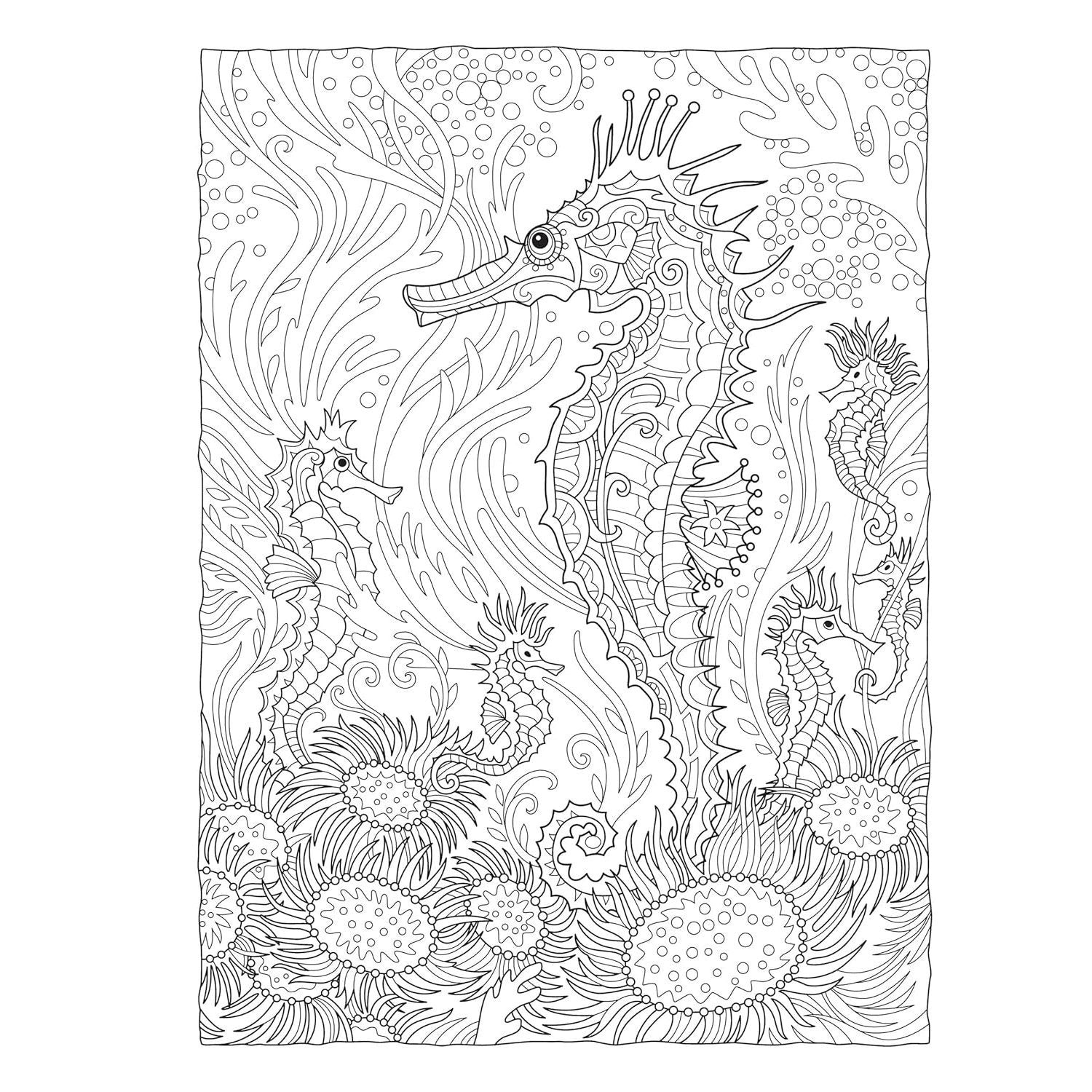 Creative Haven Fanciful Sea Life Coloring Book (Spiral Bound)